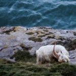 爱的修学旅行免费观看完整版高清 5m60aen